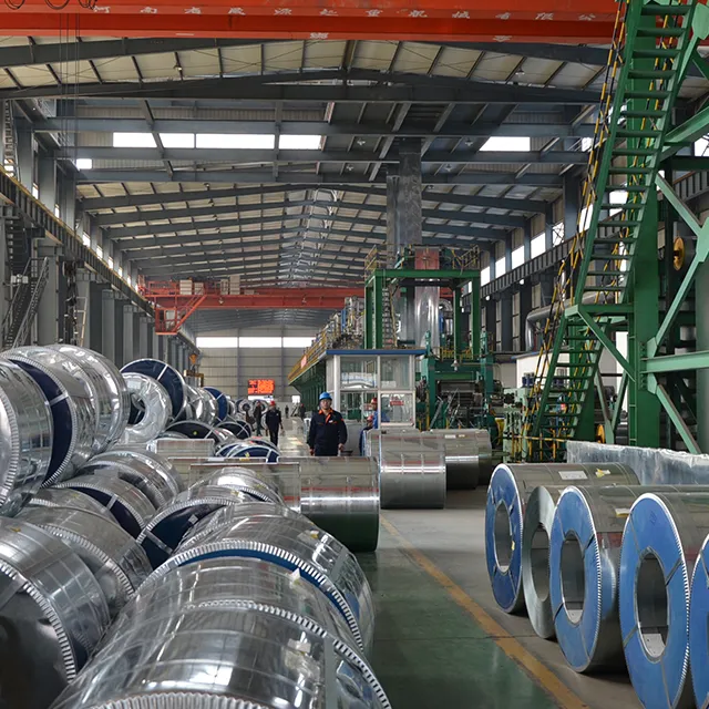 galvanized steel coil&strip